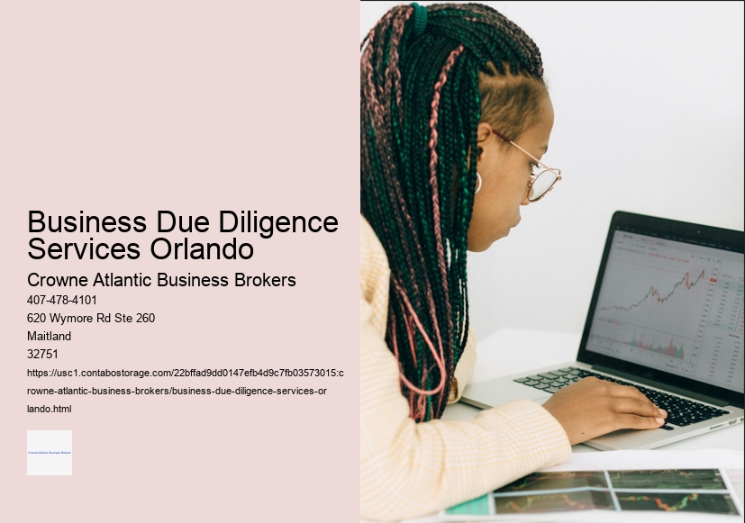 Business Due Diligence Services Orlando