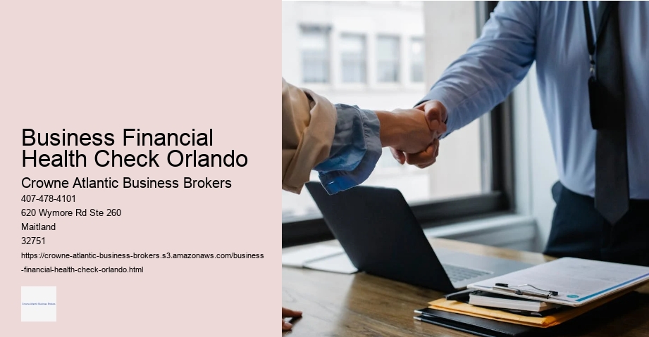 Business Financial Health Check Orlando