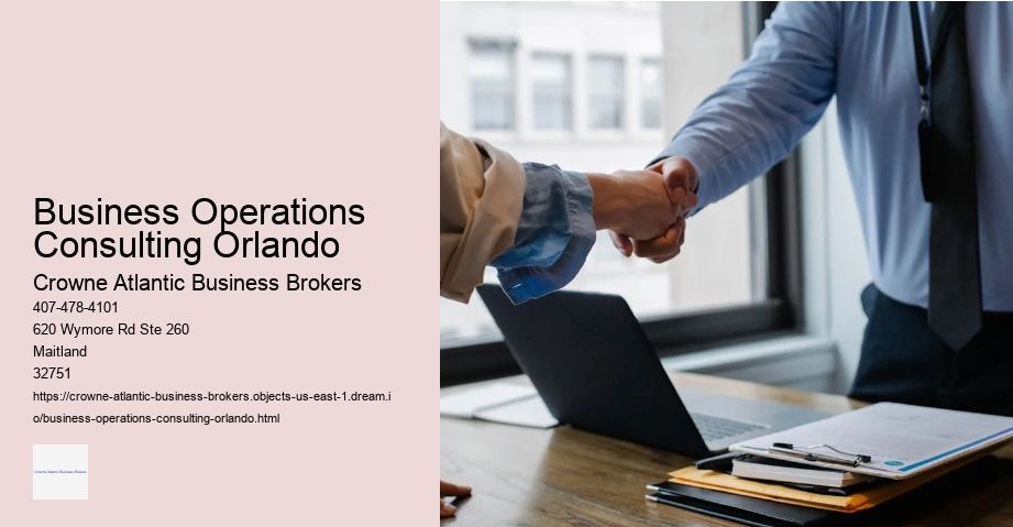 Business Operations Consulting Orlando