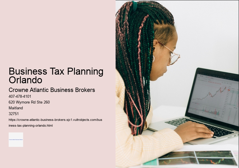 Business Tax Planning Orlando