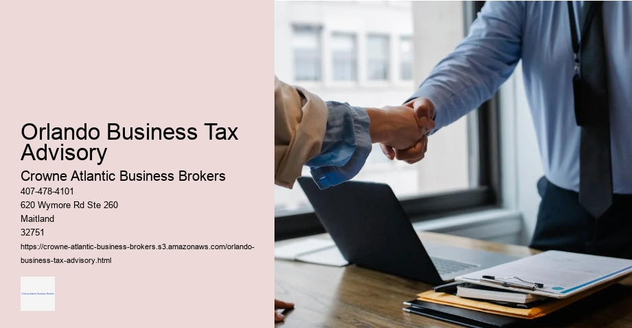 Orlando Business Tax Advisory